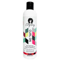 10 Oz Vegan Leave In Conditioner for Curly Hair X20829