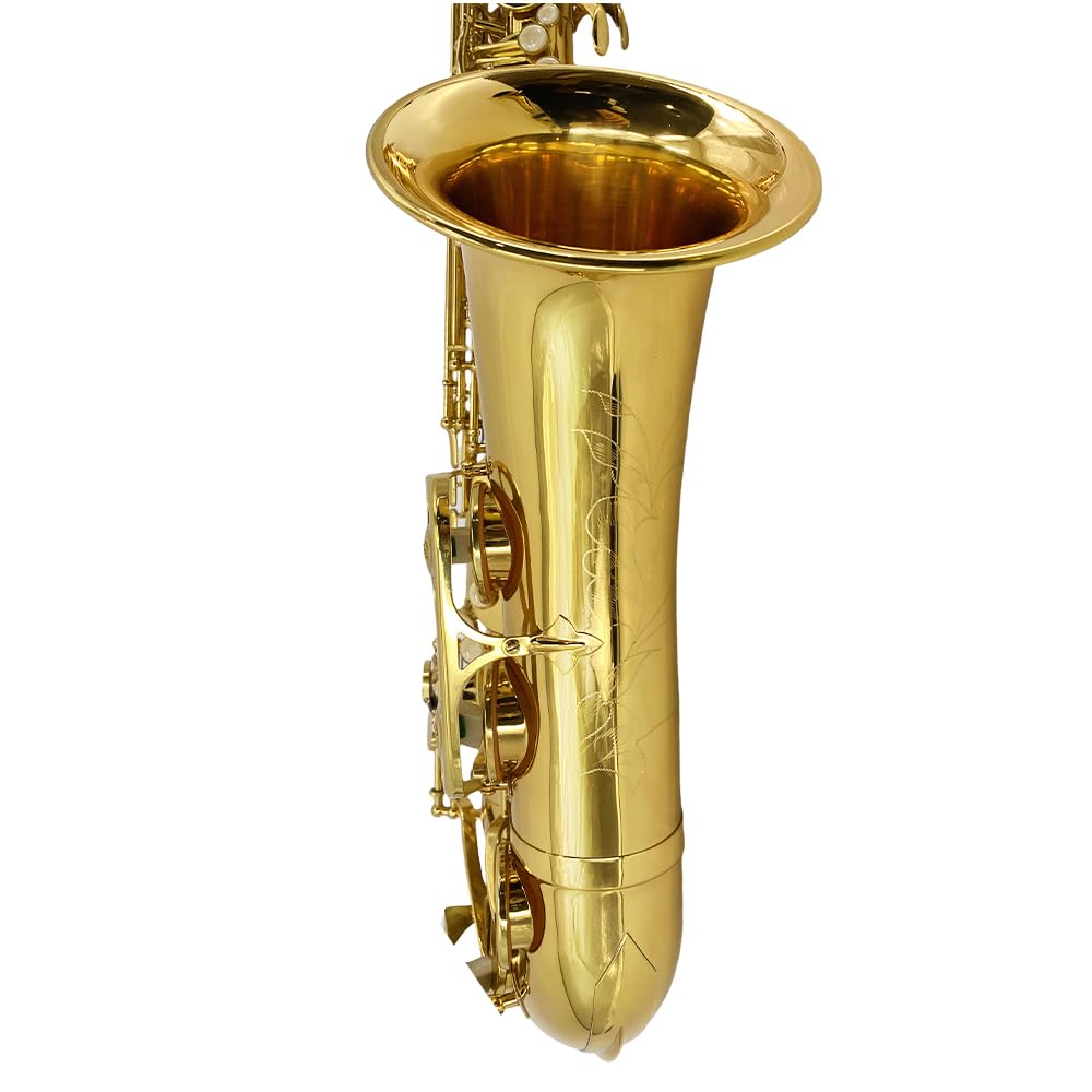 Bb Tenor Saxophone Beginner Kit with Hard Case K24773