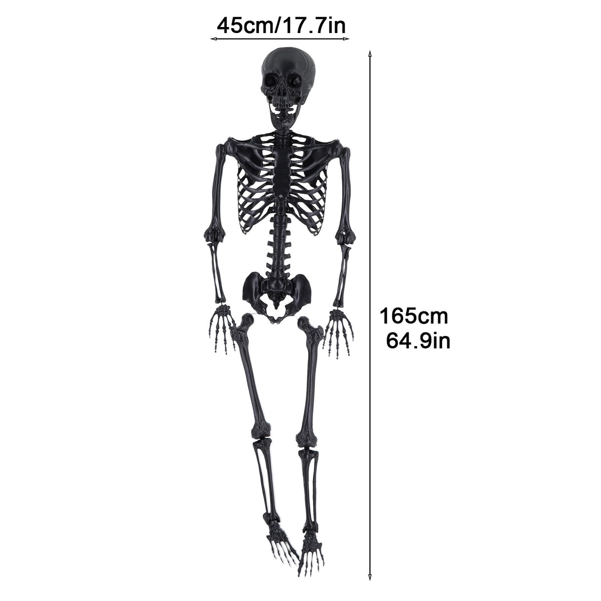 Life Size Posable Plastic Skeleton A442