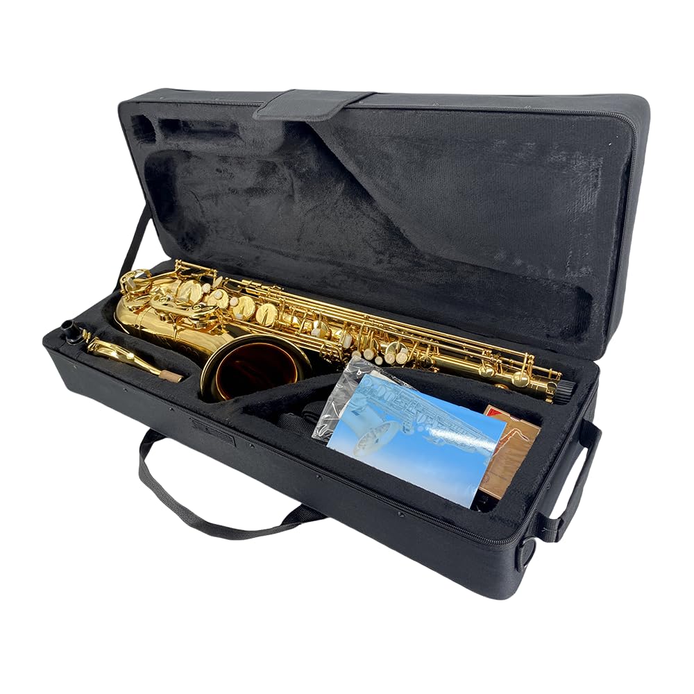 Bb Tenor Saxophone Beginner Kit with Hard Case K24773