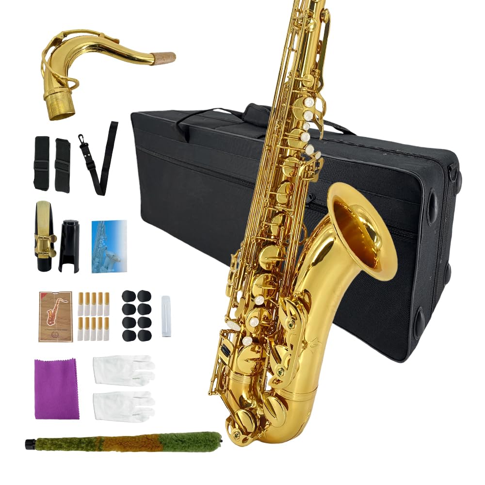 Bb Tenor Saxophone Beginner Kit with Hard Case K24773