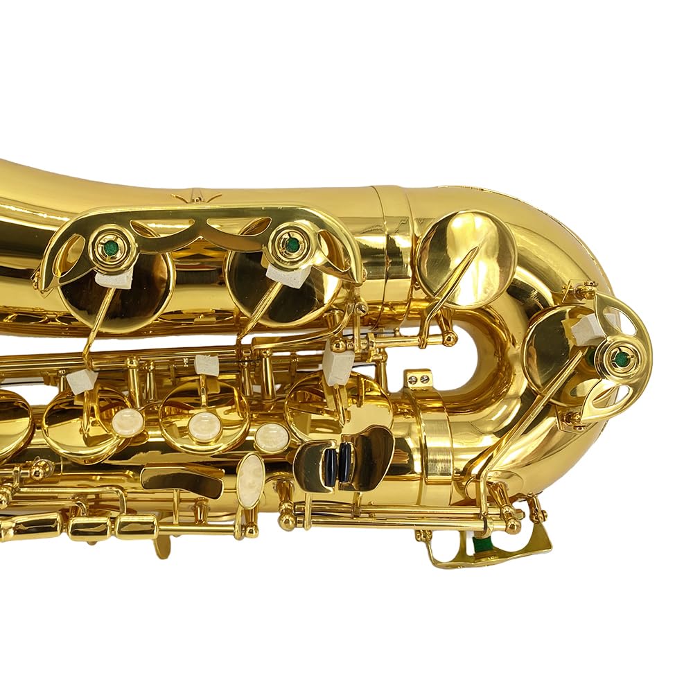Bb Tenor Saxophone Beginner Kit with Hard Case K24773