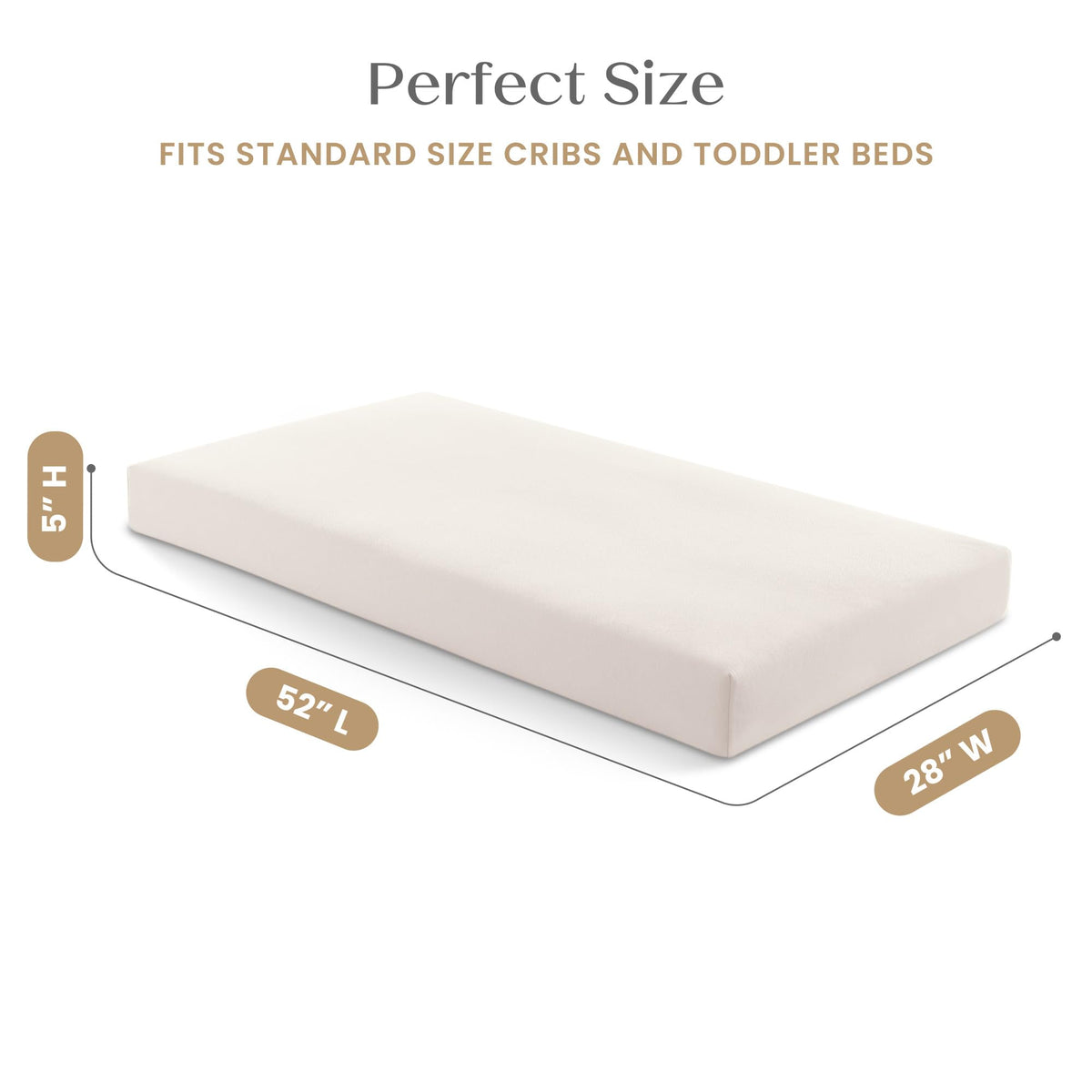 Organic Crib and Toddler Mattress U162876