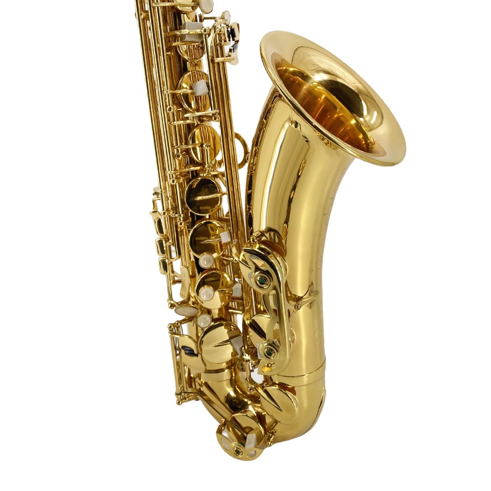 Bb Tenor Saxophone Beginner Kit with Hard Case K24773