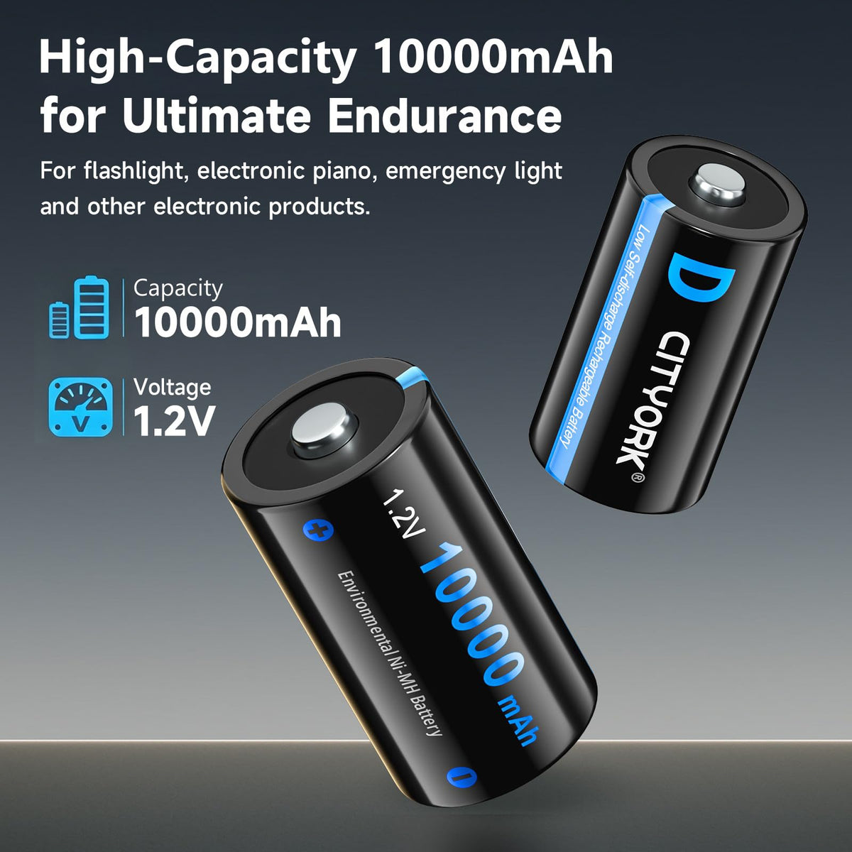 4 Pack 10000mAh Rechargeable D Batteries with 8 Bay LCD Charger L6044
