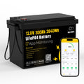 12V 300Ah LiFePO4 Battery with 200A BMS F2430