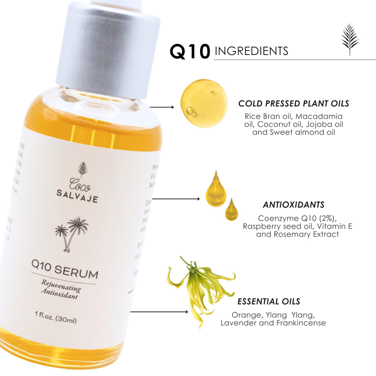 Q10 Facial Serum 1oz W71284