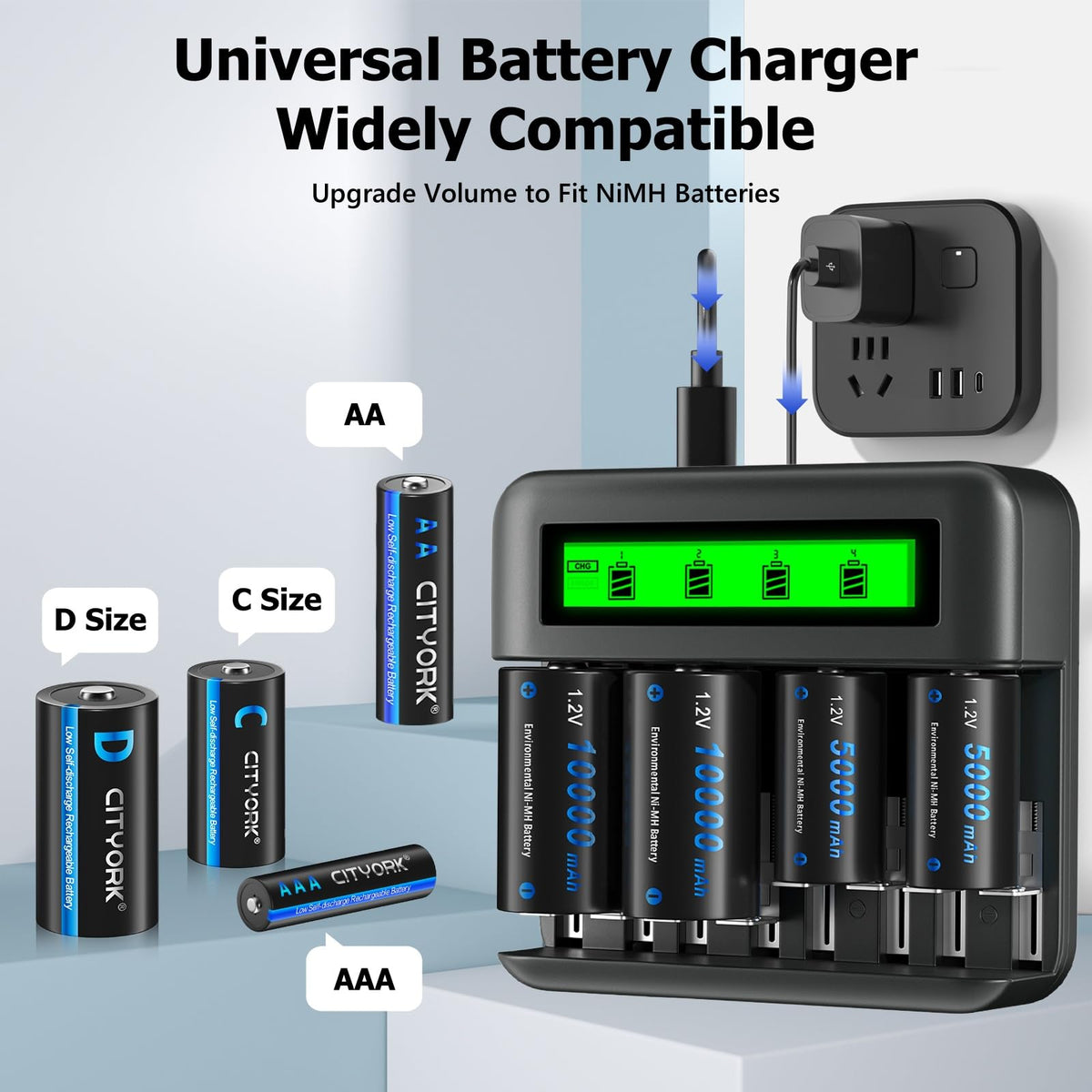 4 Pack 10000mAh Rechargeable D Batteries with 8 Bay LCD Charger L6044