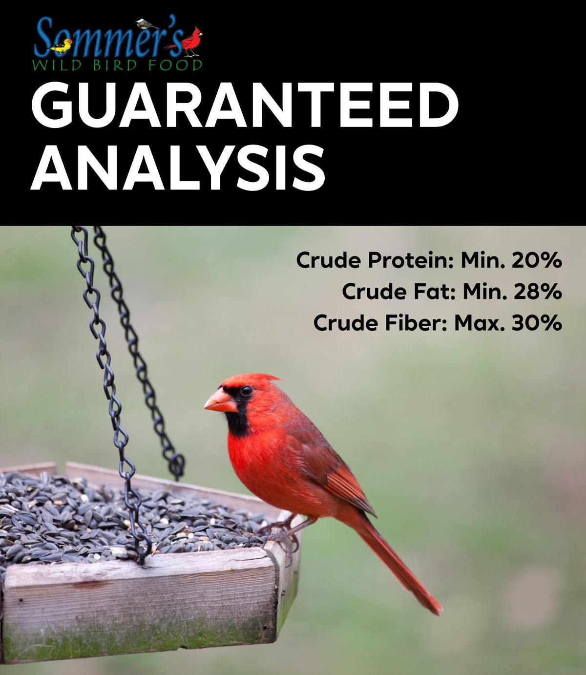 Bird Seed, 20 lb M460574