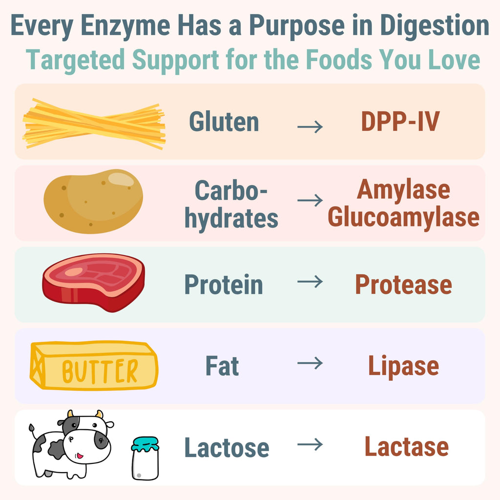 Gluten & Lactase Digestive Enzyme Gummies J8902