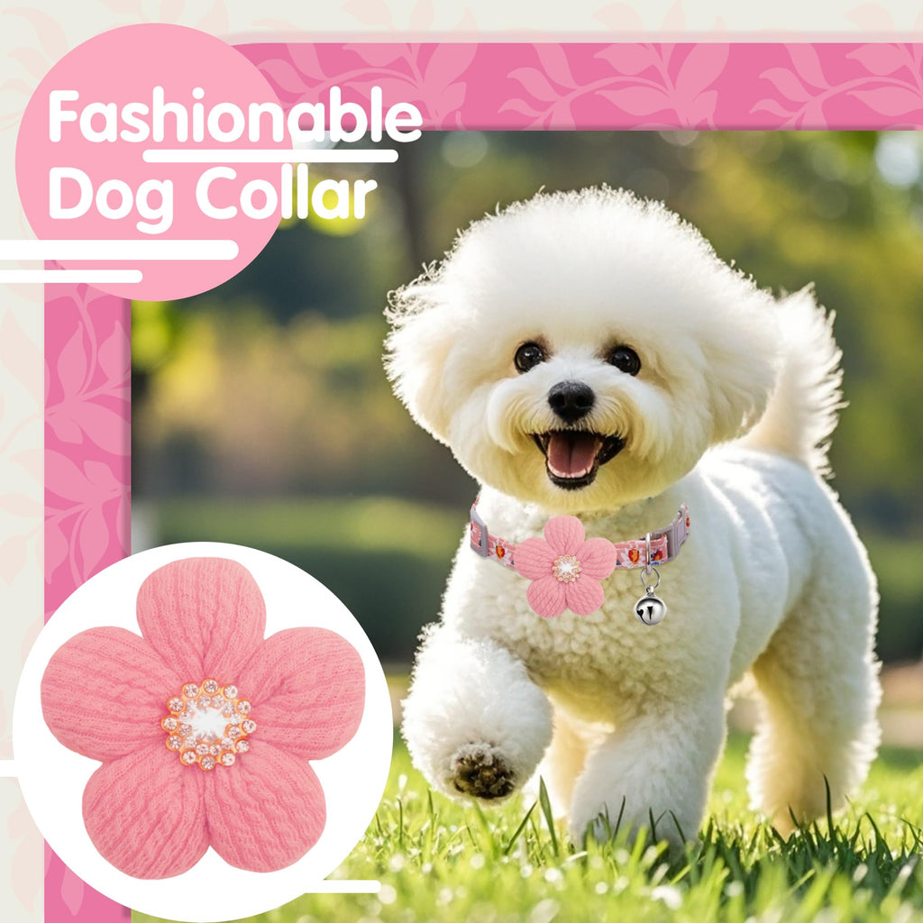 Small Dog Collar with Flower and Bell R405