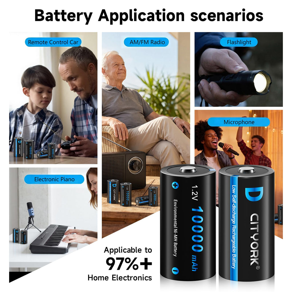 4 Pack 10000mAh Rechargeable D Batteries with 8 Bay LCD Charger L6044