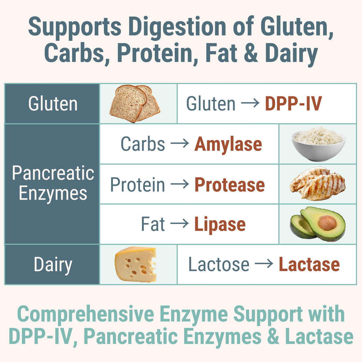 Gluten & Lactase Digestive Enzyme Gummies J8902