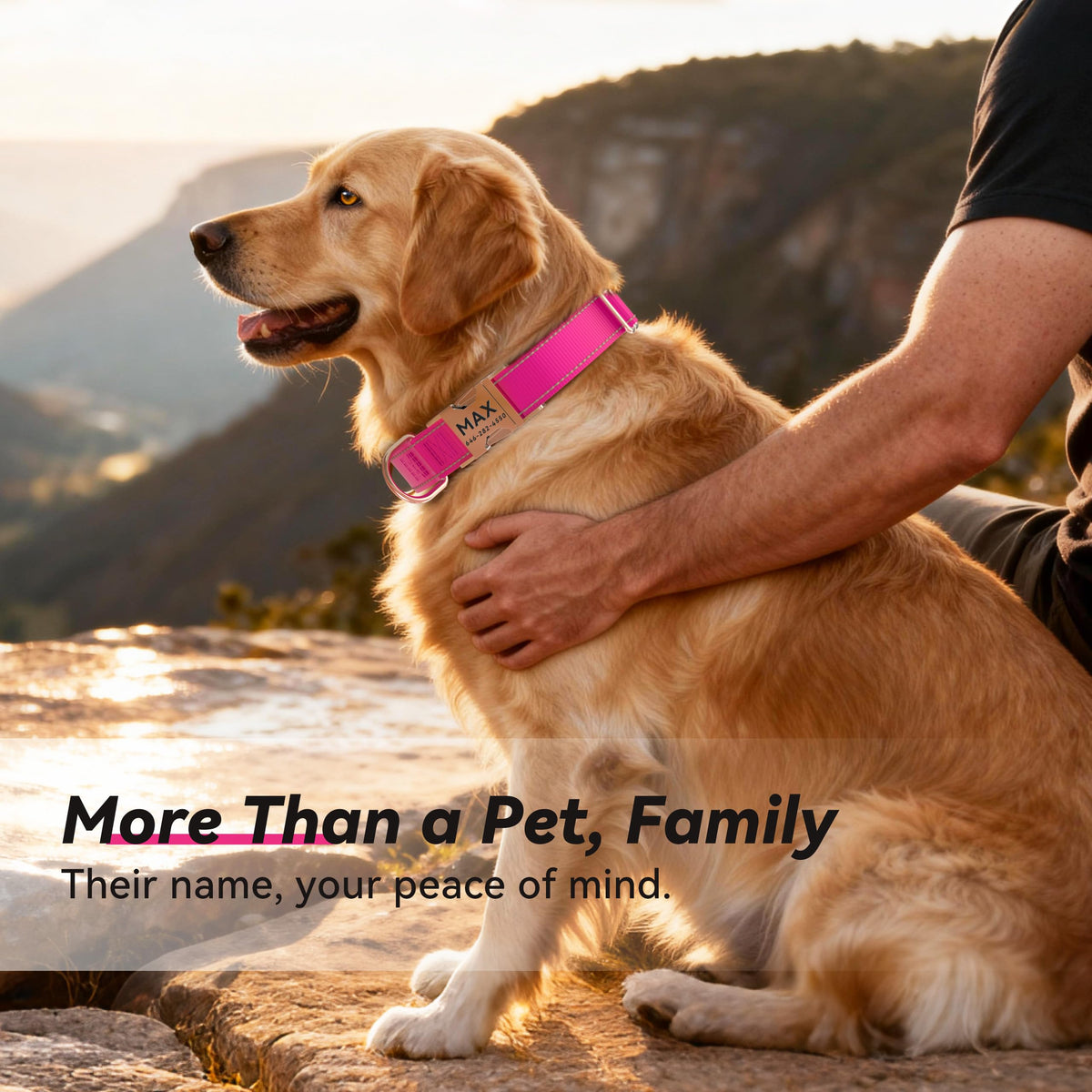 Reflective Dog Collar with Engraved ID Tag K731179