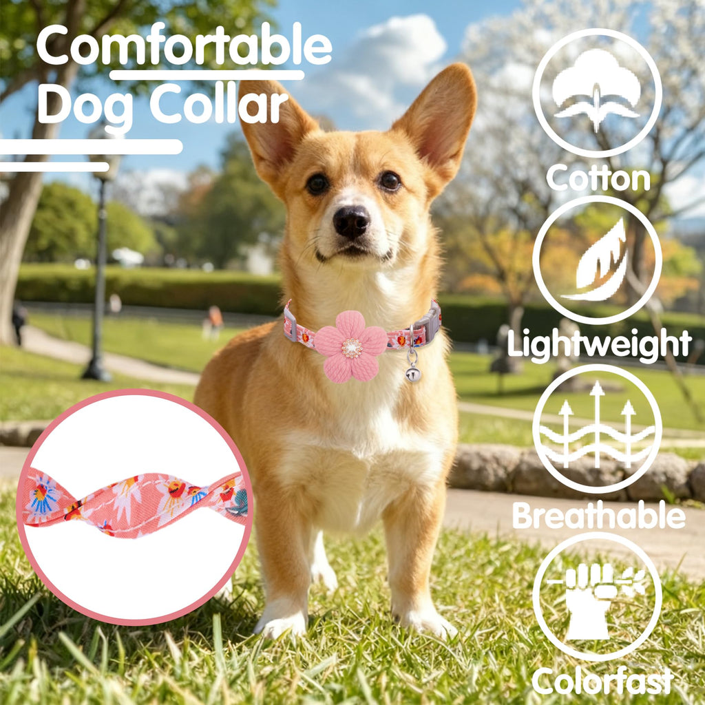 Small Dog Collar with Flower and Bell R405