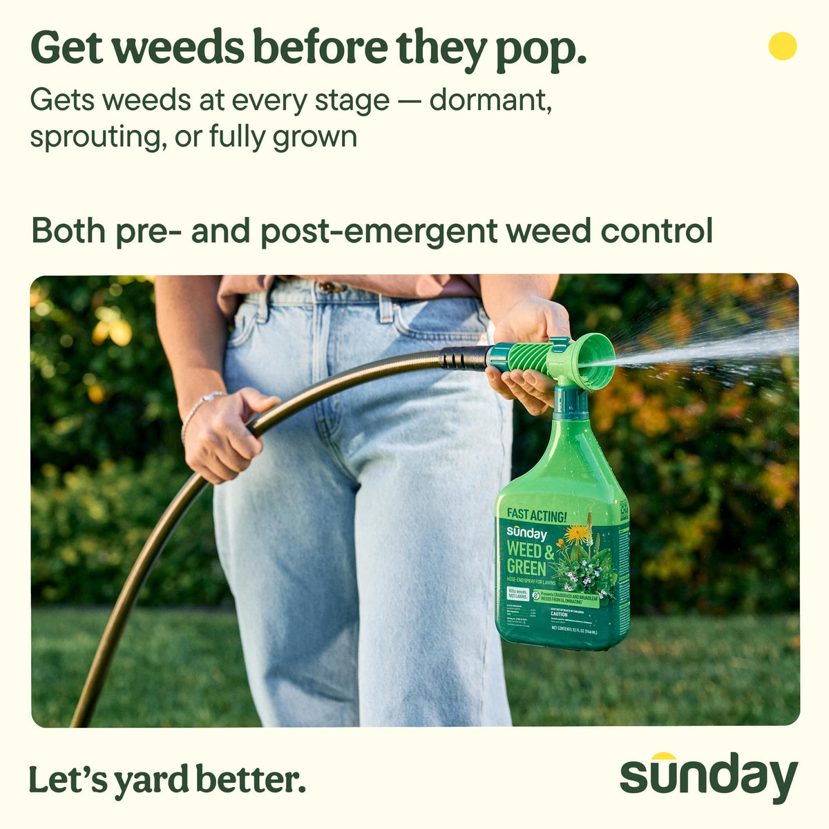 32oz 2-Pack Lawn Weed Killer & Greening Kit A356051