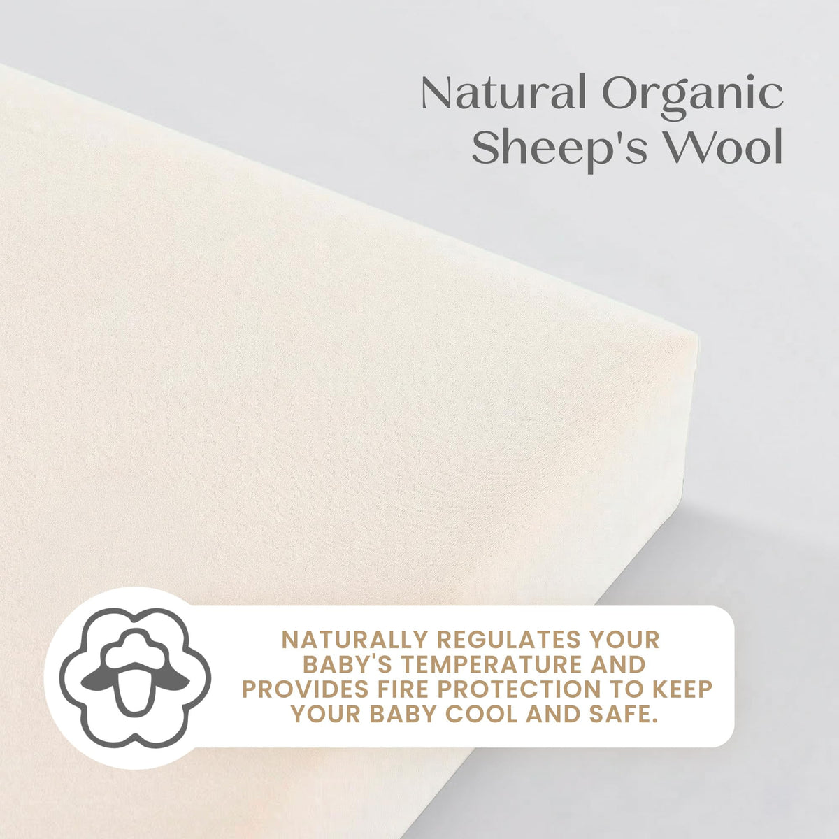 Organic Crib and Toddler Mattress U162876